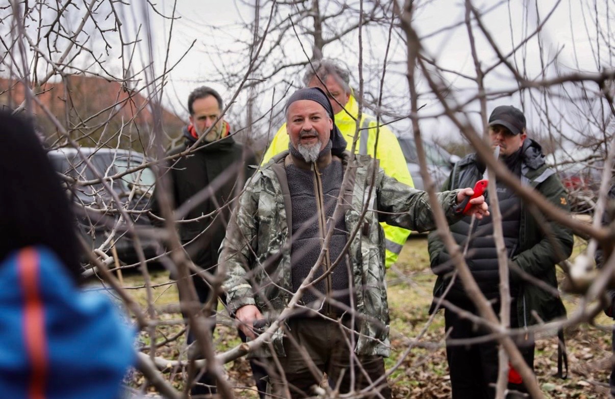 Orchard Newsletter: Expert Guidance and Practical Tips for Productive Fruit Growing