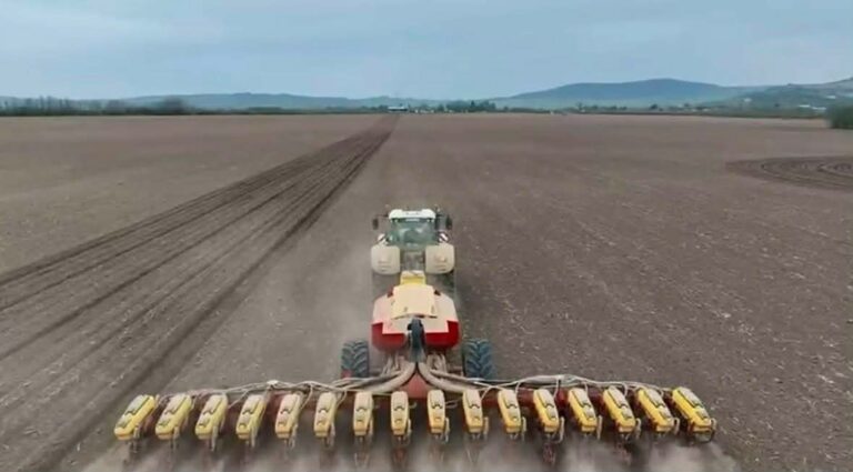 Humikal application in one pass with sowing – a modern and efficient solution in sunflower cultivation